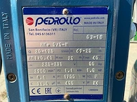 Pedrollo 03-18 hydrofoorpomp - afbeelding 8 van  9