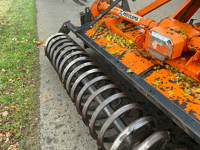 Pegoraro ld 300 frees - afbeelding 3 van  13