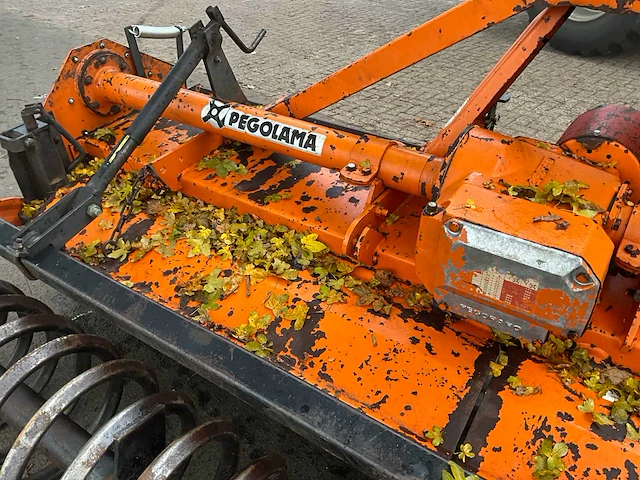 Pegoraro ld 300 frees - afbeelding 4 van  13
