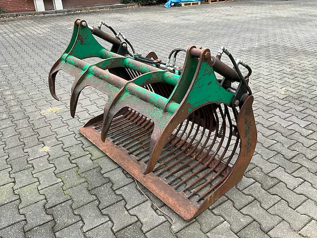 Pelikaanbak mestriek - afbeelding 4 van  9
