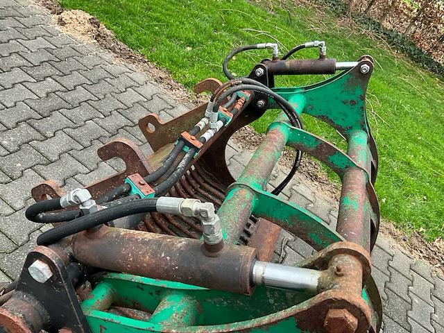 Pelikaanbak mestriek - afbeelding 7 van  9