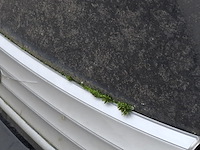 Personenauto daihatsu, materia 1.5, zwart, bouwjaar 2009 - afbeelding 36 van  49