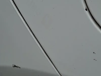 Personenauto fiat, 500 0.9 twinair, bouwjaar 2011 - afbeelding 24 van  34