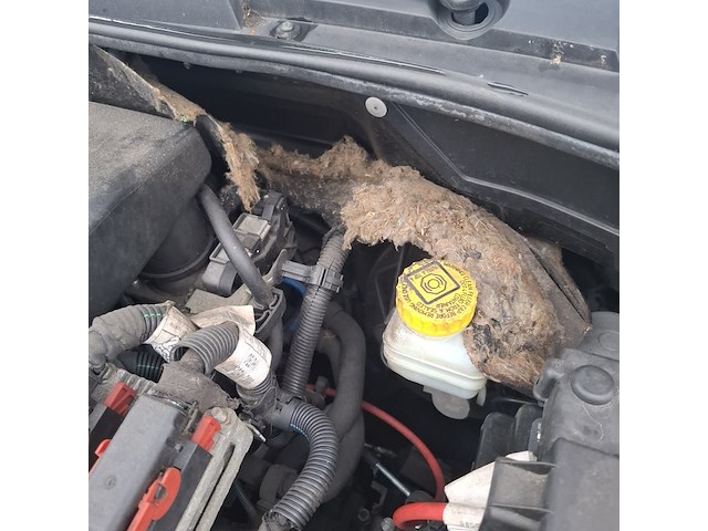 Personenauto fiat , grande punto 1.4 dynamic, bouwjaar 2007 - afbeelding 35 van  45