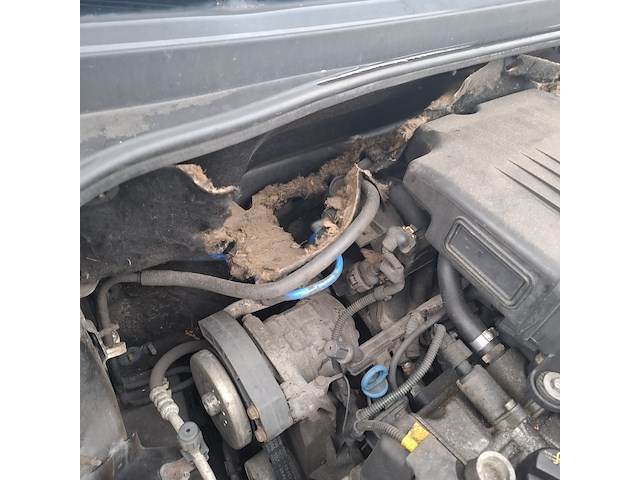 Personenauto fiat , grande punto 1.4 dynamic, bouwjaar 2007 - afbeelding 36 van  45