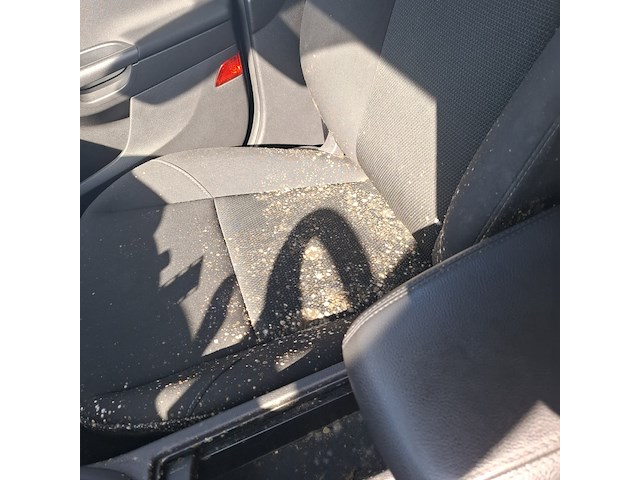 Personenauto, ford, focus wagon 1.5 tdci titanium, 2016 - afbeelding 11 van  64