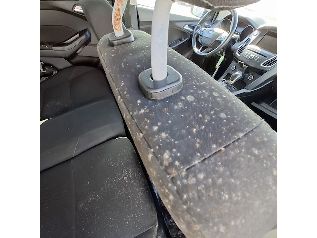 Personenauto, ford, focus wagon 1.5 tdci titanium, 2016 - afbeelding 24 van  64