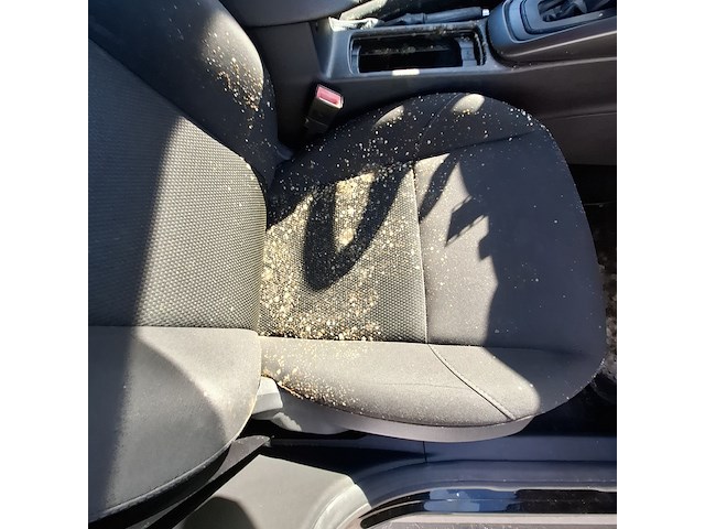 Personenauto, ford, focus wagon 1.5 tdci titanium, 2016 - afbeelding 30 van  64