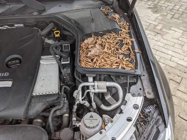 Personenauto mercedes-benz, c-klasse estate 350e, bouwjaar 2015 - afbeelding 39 van  54