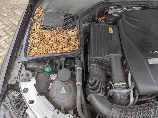 Personenauto mercedes-benz, c-klasse estate 350e, bouwjaar 2015 - afbeelding 41 van  54