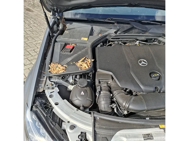 Personenauto mercedes-benz, c220 cdi, grijs, bouwjaar 2014 - afbeelding 33 van  51
