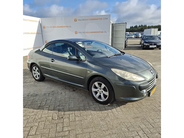 Personenauto peugeot, 307 cc 2.0-16v, grijs, bouwjaar 2006 - afbeelding 23 van  50
