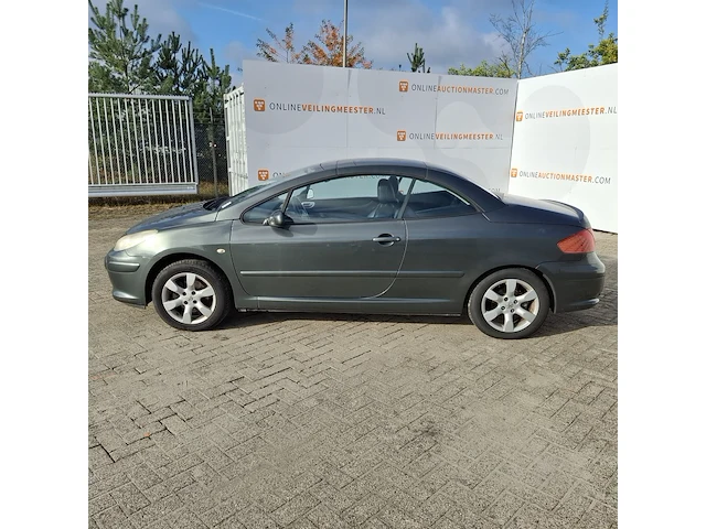 Personenauto peugeot, 307 cc 2.0-16v, grijs, bouwjaar 2006 - afbeelding 50 van  50