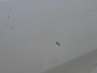 Personenauto peugeot, 308 sw 1.6, bouwjaar 2015 - afbeelding 36 van  56