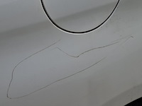 Personenauto peugeot, 308 sw 1.6, wit, bouwjaar 2015 - afbeelding 37 van  56