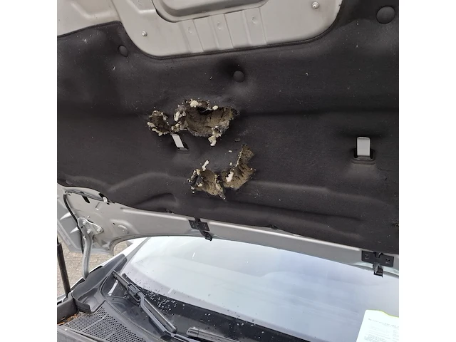 Personenauto renault, megane, bouwjaar 2019 - afbeelding 36 van  45