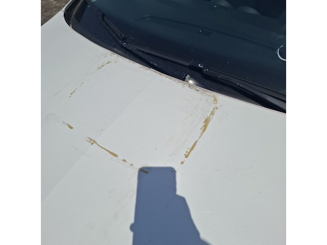 Personenauto seat, ibiza st 1.2 tdi style ecomotive, wit, bouwjaar 2012 - afbeelding 35 van  49