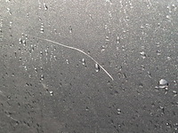 Personenauto toyota, aygo 1.0, grijs, bouwjaar 2008 - afbeelding 29 van  47