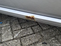 Personenauto volkswagen, polo 1.2-12v bluemotion, bouwjaar 2011 - afbeelding 54 van  61