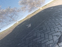 Personenauto, volvo, v60 plug in hybrid, 2013 - afbeelding 68 van  80