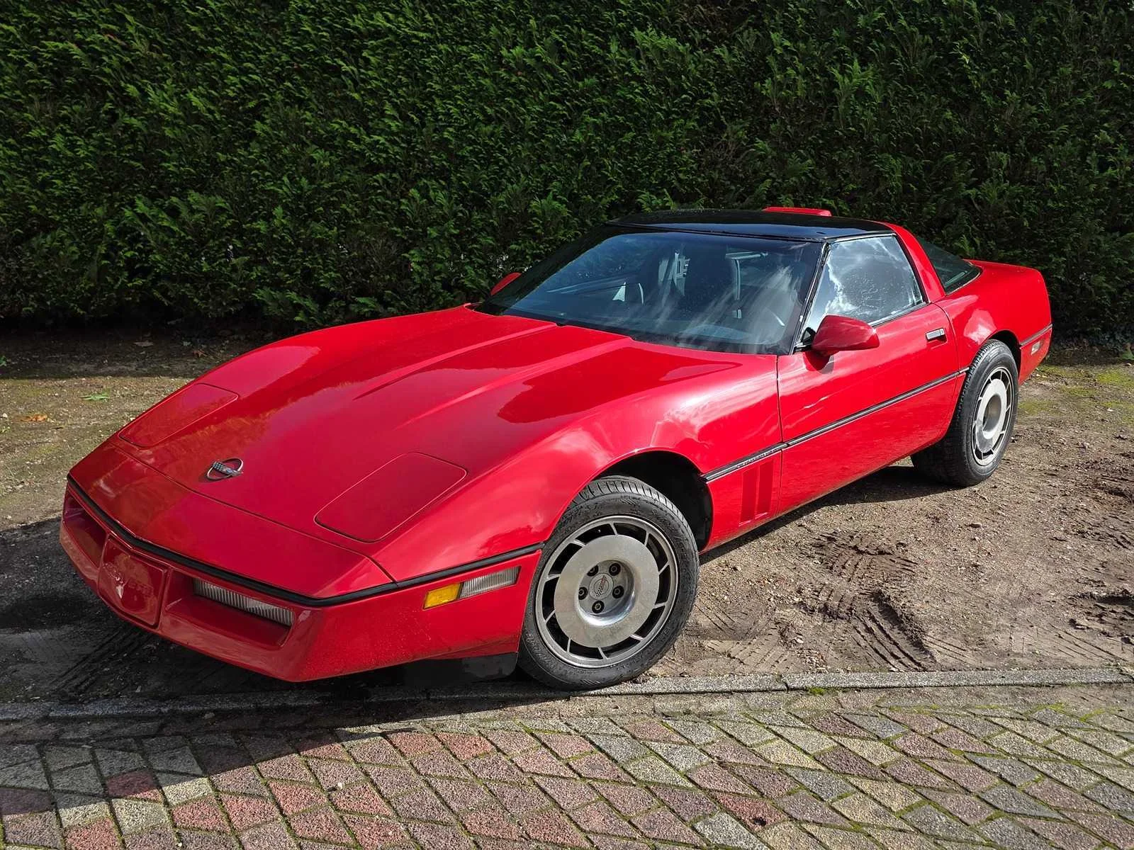 Personenauto's en bedrijfswagens in eerbeek