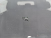 Personenbus mercedes benz, vito 109 cdi, n.v.t., bouwjaar 2008 - afbeelding 30 van  40