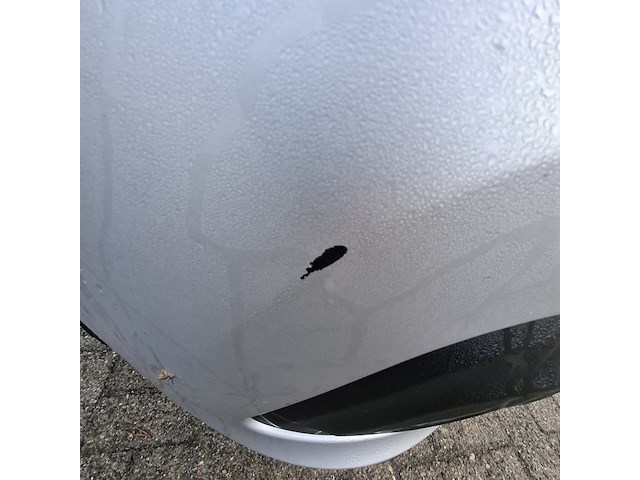 Personenbus, renault, traffic, 2019 - afbeelding 17 van  25