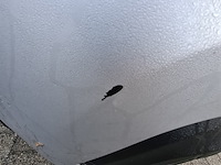 Personenbus, renault, traffic, 2019 - afbeelding 17 van  25