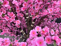 Perzik bloesem kunstboom - afbeelding 2 van  14