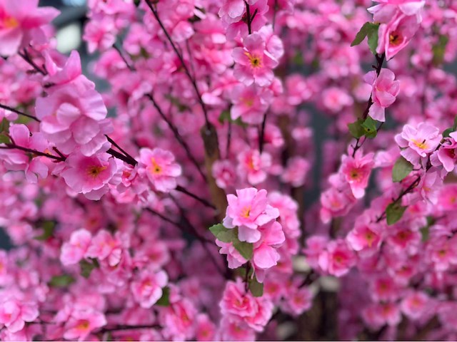 Perzik bloesem kunstboom - afbeelding 3 van  14