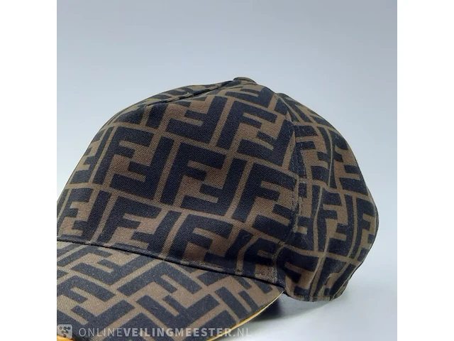 Pet fendi, fxq768 a660 tu - afbeelding 3 van  8