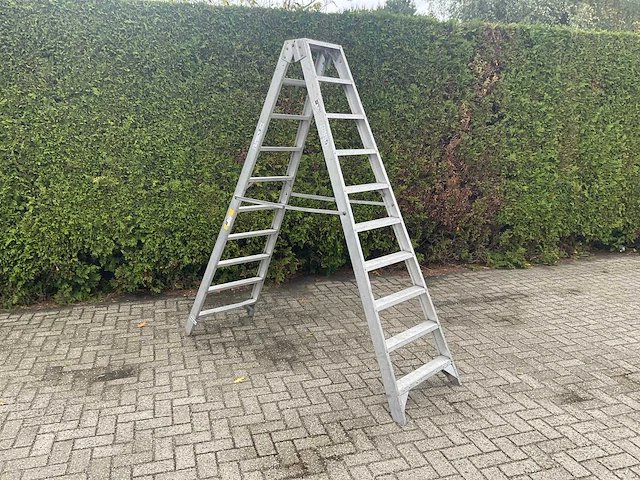 Petry tio 210 dubbele industrietrapladder - 10 treden - afbeelding 1 van  6