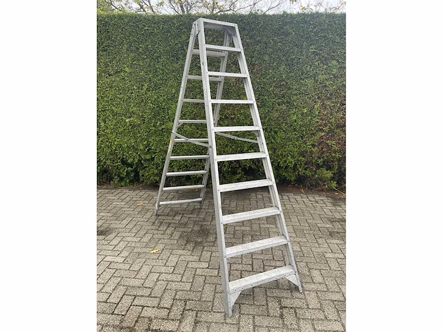 Petry tio 210 dubbele industrietrapladder - 10 treden - afbeelding 3 van  6