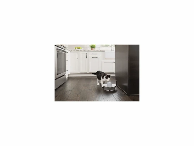 Petsafe keramische drinkfontein voor katten en kleine honden 1,8 liter - afbeelding 2 van  6