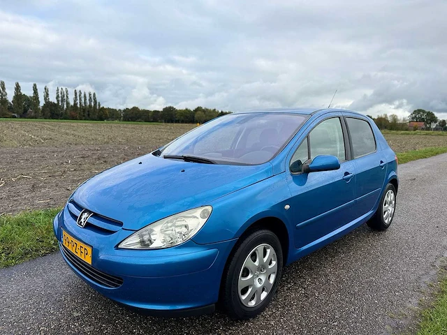 Peugeot - 2005 - 307 - 1.6-16v xs premium - 99-pz-fp - afbeelding 1 van  10