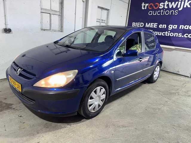 Peugeot - 307 - 1.6-16v xs - 92-np-jr - afbeelding 1 van  20