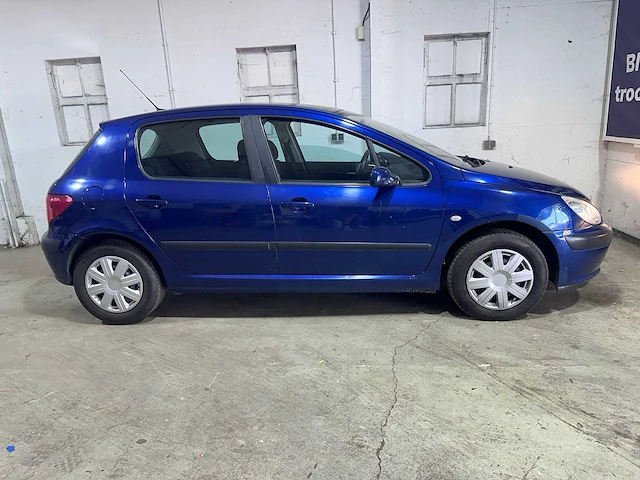 Peugeot - 307 - 1.6-16v xs - 92-np-jr - afbeelding 17 van  20