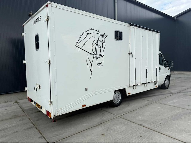 Peugeot - boxer - paardenvrachtwagen b rijbewijs - bedrijfswagen - 2006 - afbeelding 2 van  35
