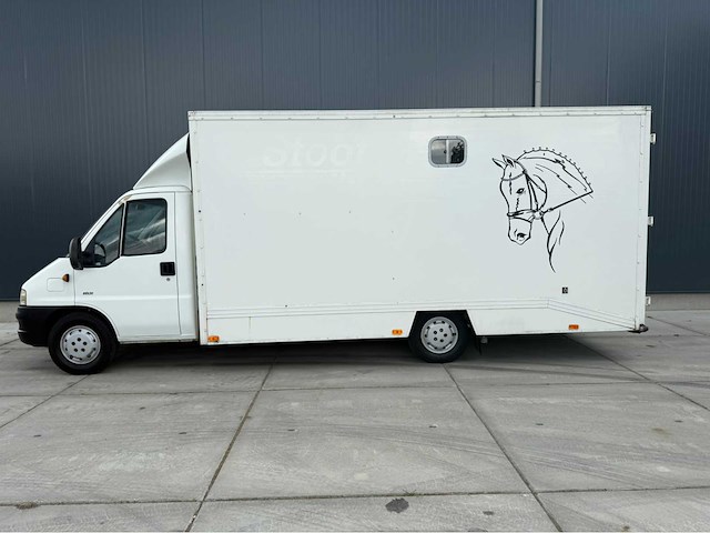 Peugeot - boxer - paardenvrachtwagen b rijbewijs - bedrijfswagen - 2006 - afbeelding 12 van  35