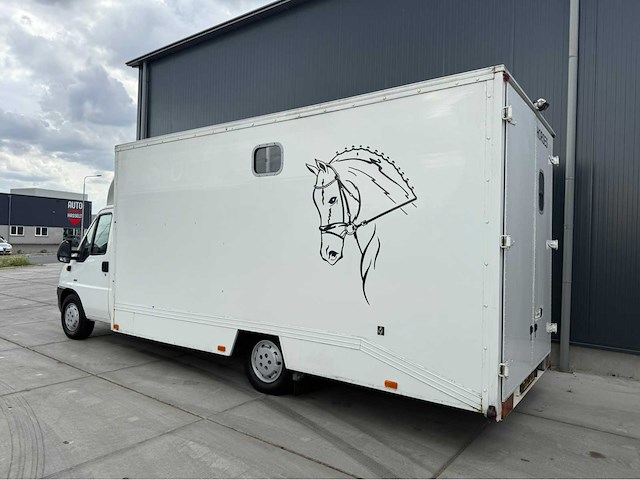 Peugeot - boxer - paardenvrachtwagen b rijbewijs - bedrijfswagen - 2006 - afbeelding 23 van  35