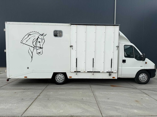 Peugeot - boxer - paardenvrachtwagen b rijbewijs - bedrijfswagen - 2006 - afbeelding 31 van  35