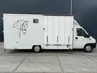 Peugeot - boxer - paardenvrachtwagen b rijbewijs - bedrijfswagen - 2006 - afbeelding 31 van  35