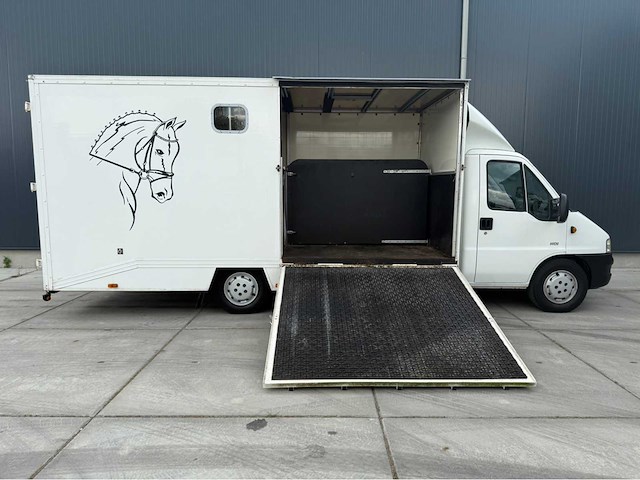 Peugeot - boxer - paardenvrachtwagen b rijbewijs - bedrijfswagen - 2006 - afbeelding 32 van  35