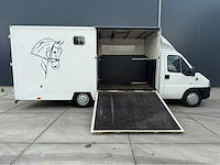 Peugeot - boxer - paardenvrachtwagen b rijbewijs - bedrijfswagen - 2006 - afbeelding 32 van  35
