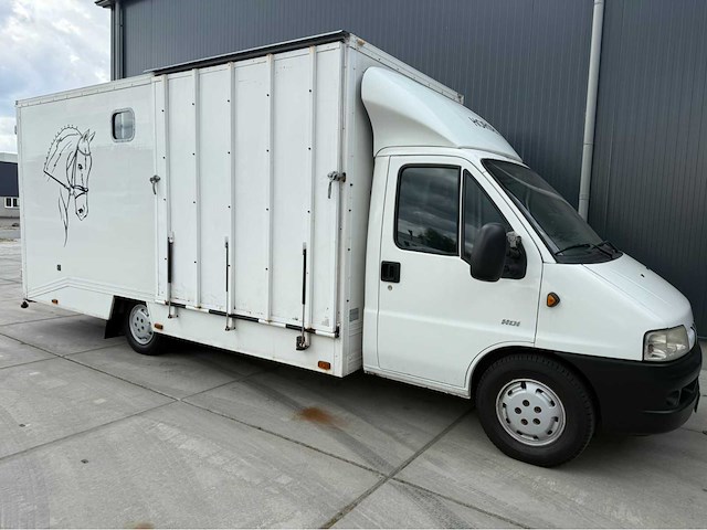 Peugeot - boxer - paardenvrachtwagen b rijbewijs - bedrijfswagen - 2006 - afbeelding 34 van  35