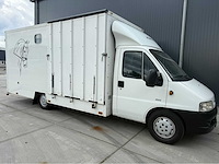 Peugeot - boxer - paardenvrachtwagen b rijbewijs - bedrijfswagen - 2006 - afbeelding 34 van  35