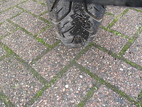 Peugeot - snorscooter - kisbee rs injectie - scooter - afbeelding 10 van  10