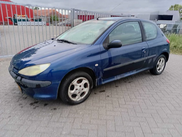 Peugeot 206 1.4 x line, 33-ll-bv - afbeelding 1 van  14