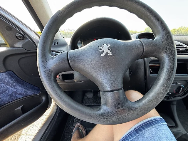 Peugeot 206, 2001 - afbeelding 3 van  30