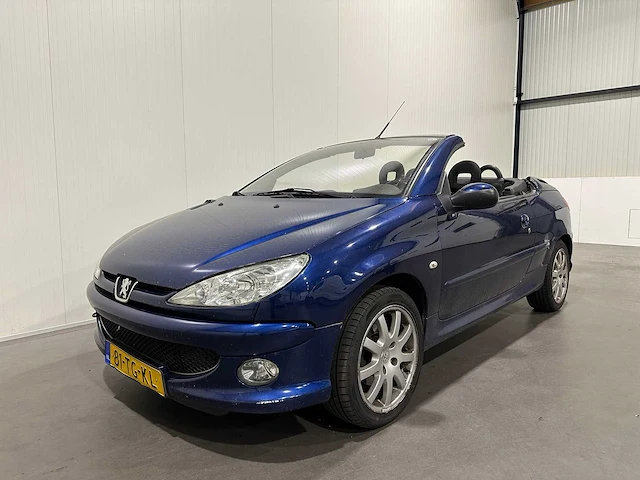 Peugeot 206 cc 1.6-16v cabriolet 81-tg-kl - afbeelding 1 van  23